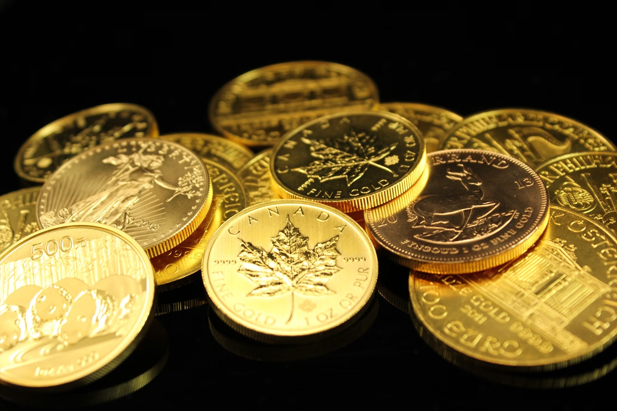 A pile of Canadian Maple gold coins at Denver coin dealer