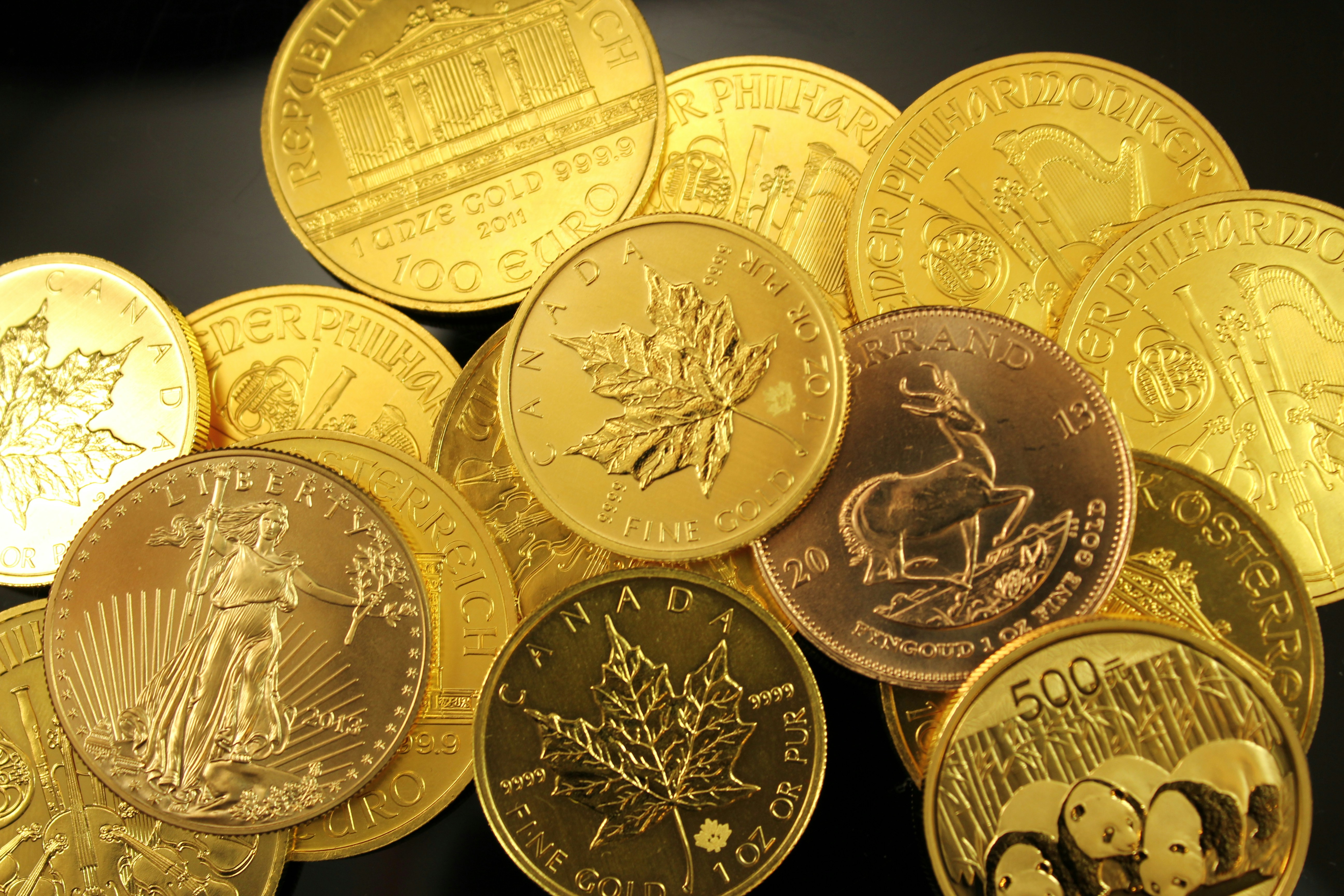 Gold Canadian Maple coins at Mile High Coin in Denver CO